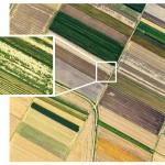 Agricultura